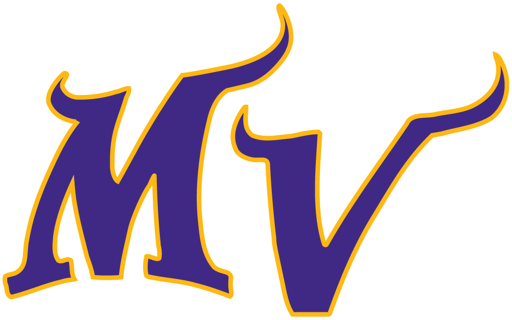 Minnesota Vikings 2004-Pres Alternate Logo t shirt iron on transfers...